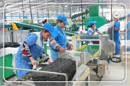 2021年適合農村開辦的小型加工廠項目 投資少、前景廣闊